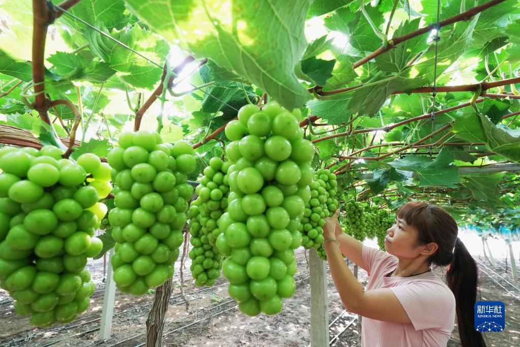 澳博app下载官方网站